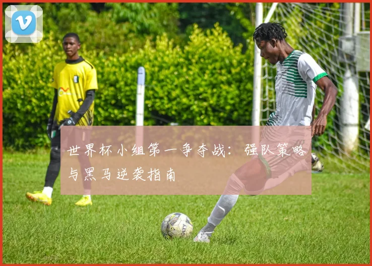 世界杯小组第一争夺战：强队策略与黑马逆袭指南